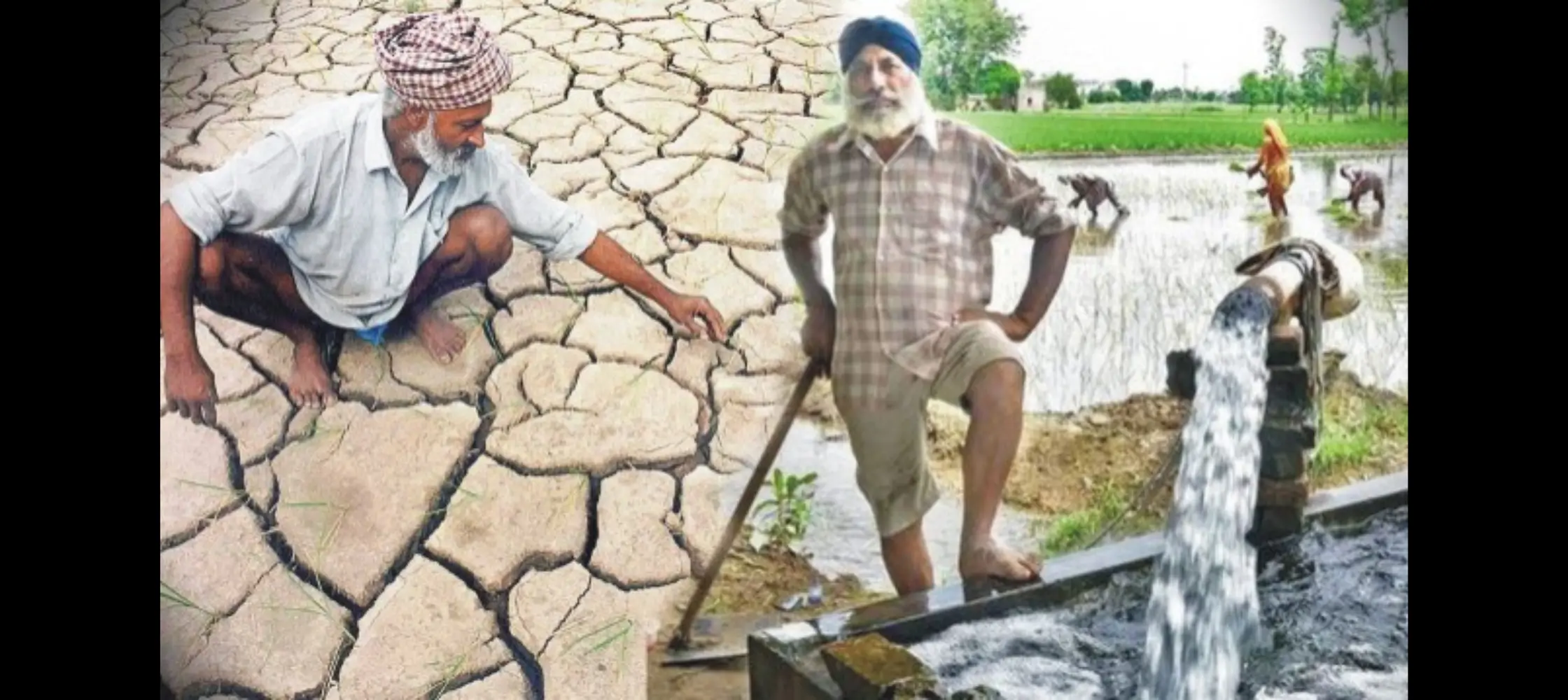 Punjab's Precarious Water Crisis